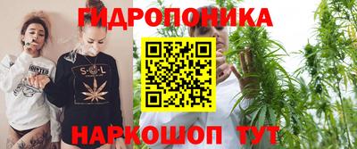каннабис Новозыбков