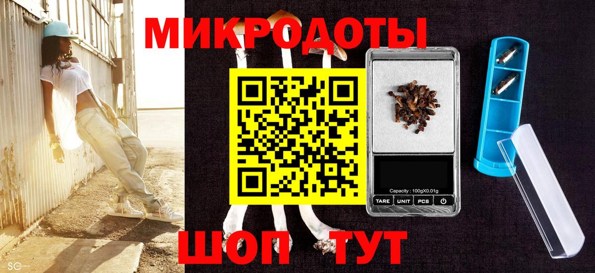 Галлюциногенные грибы GOLDEN TEACHER  купить наркоту  Ступино  Галлюциногенные грибы GOLDEN TEACHER  Вход с VPN 